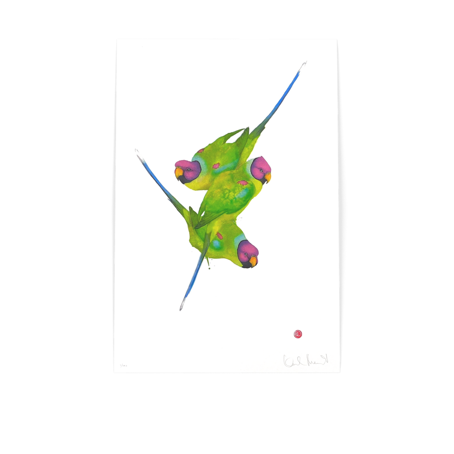 MÅRTENS KARL "Parakiter"