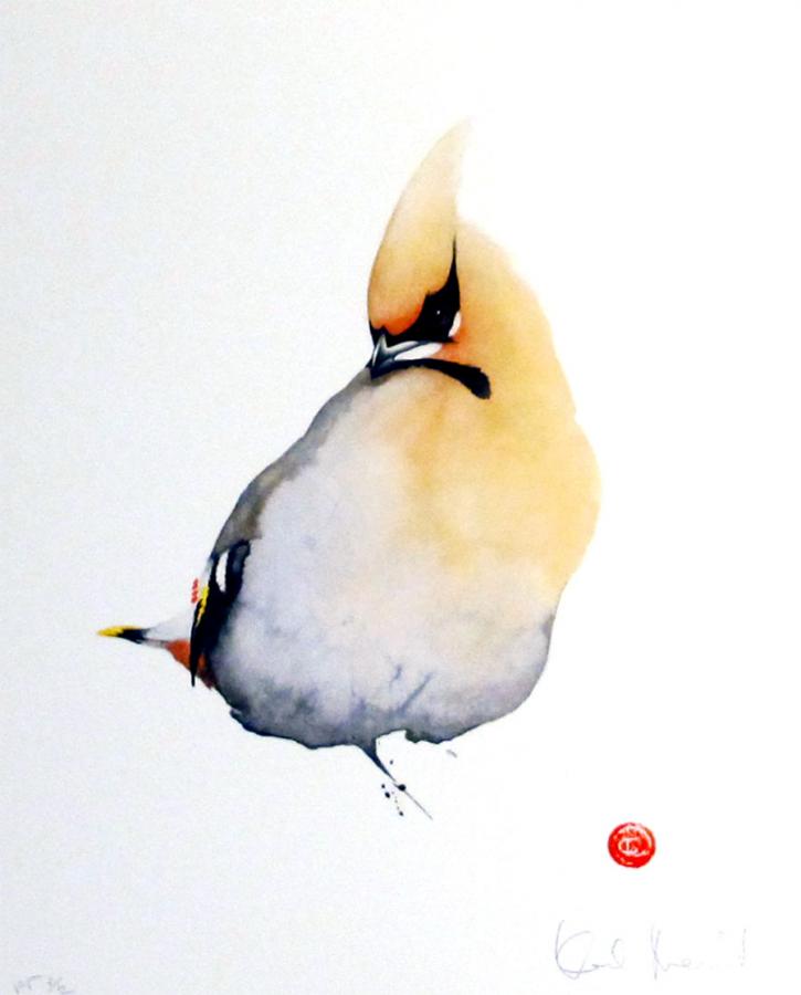 MÅRTENS KARL "Sidensvans"