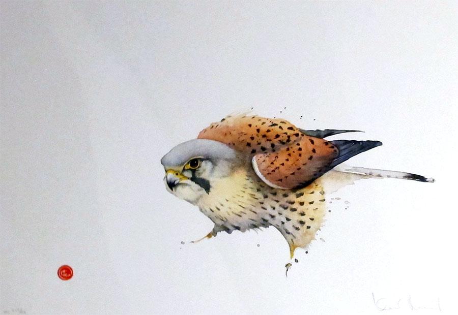 MÅRTENS KARL "Tornfalk"