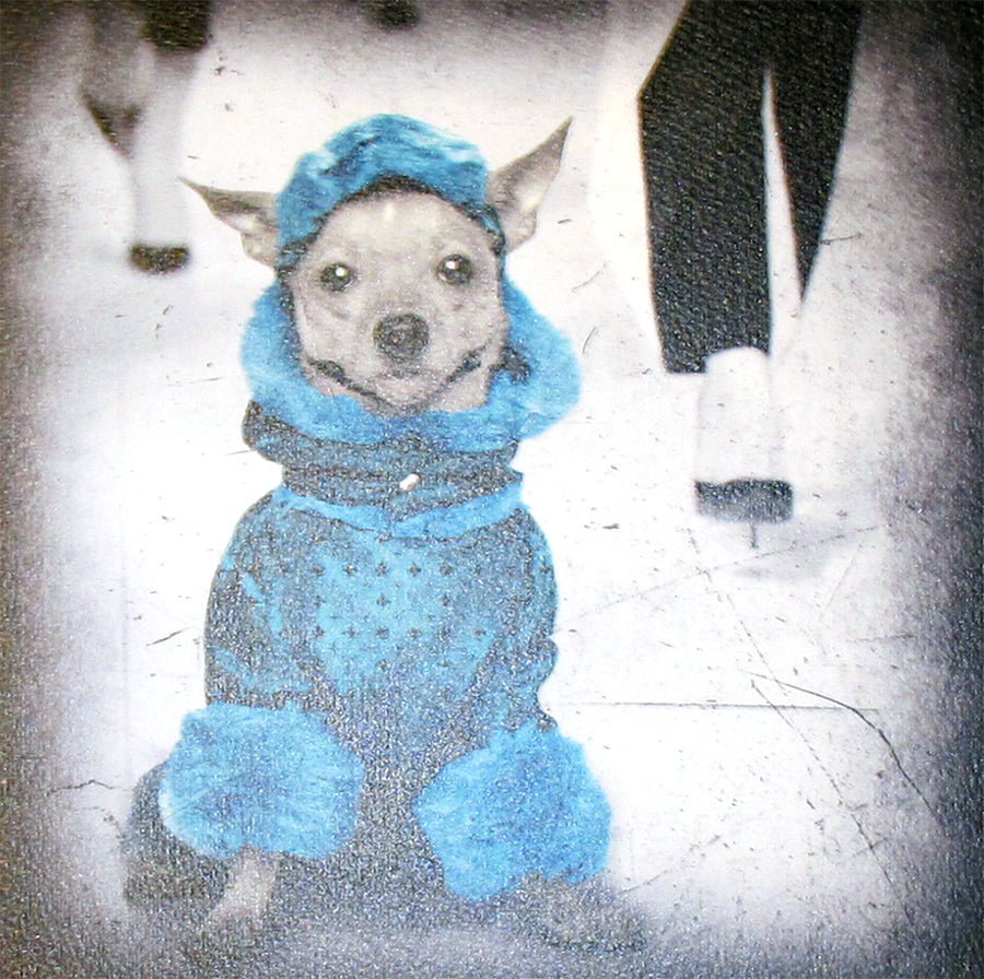 TUNEBO LARS "Cat walk"