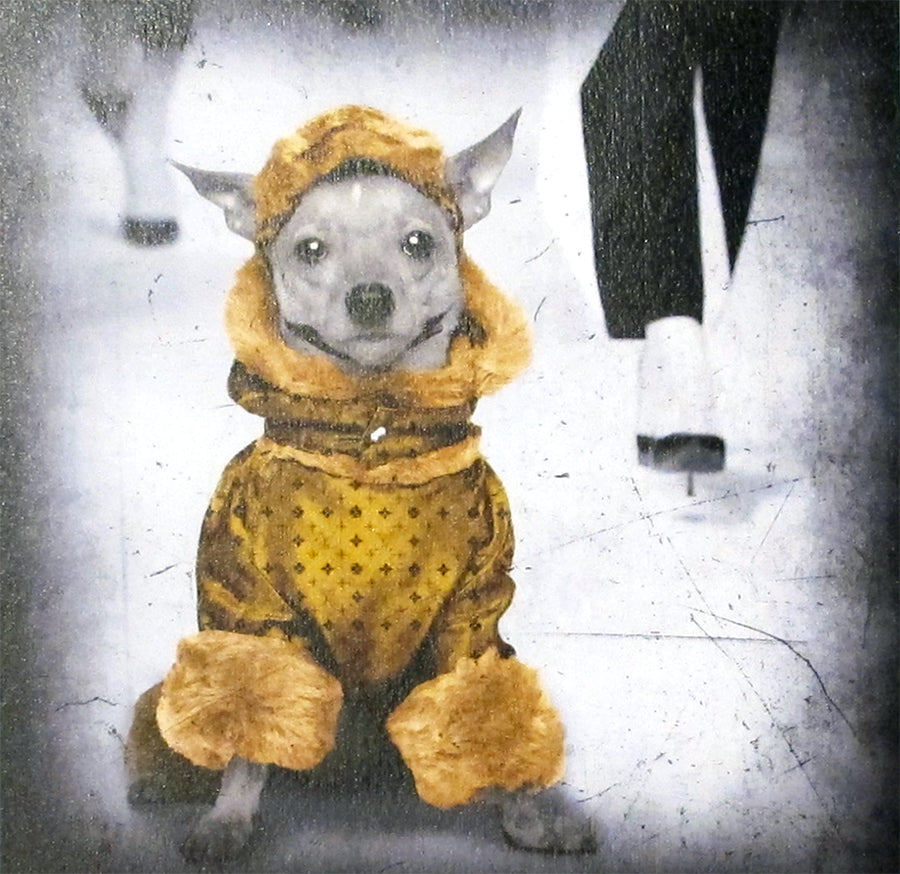 TUNEBO LARS "Cat walk"