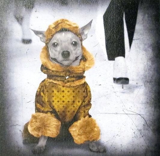 TUNEBO LARS "Cat walk"